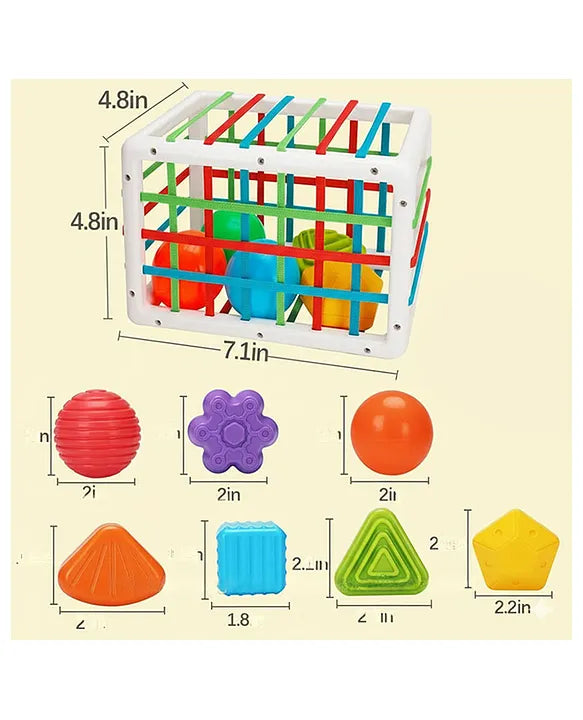 Shape Sorting Educational Toys Box for Baby Early Skill Growth showing box size and colorful shape dimensions