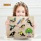 Wooden Birds Peg Puzzle Board for Kids