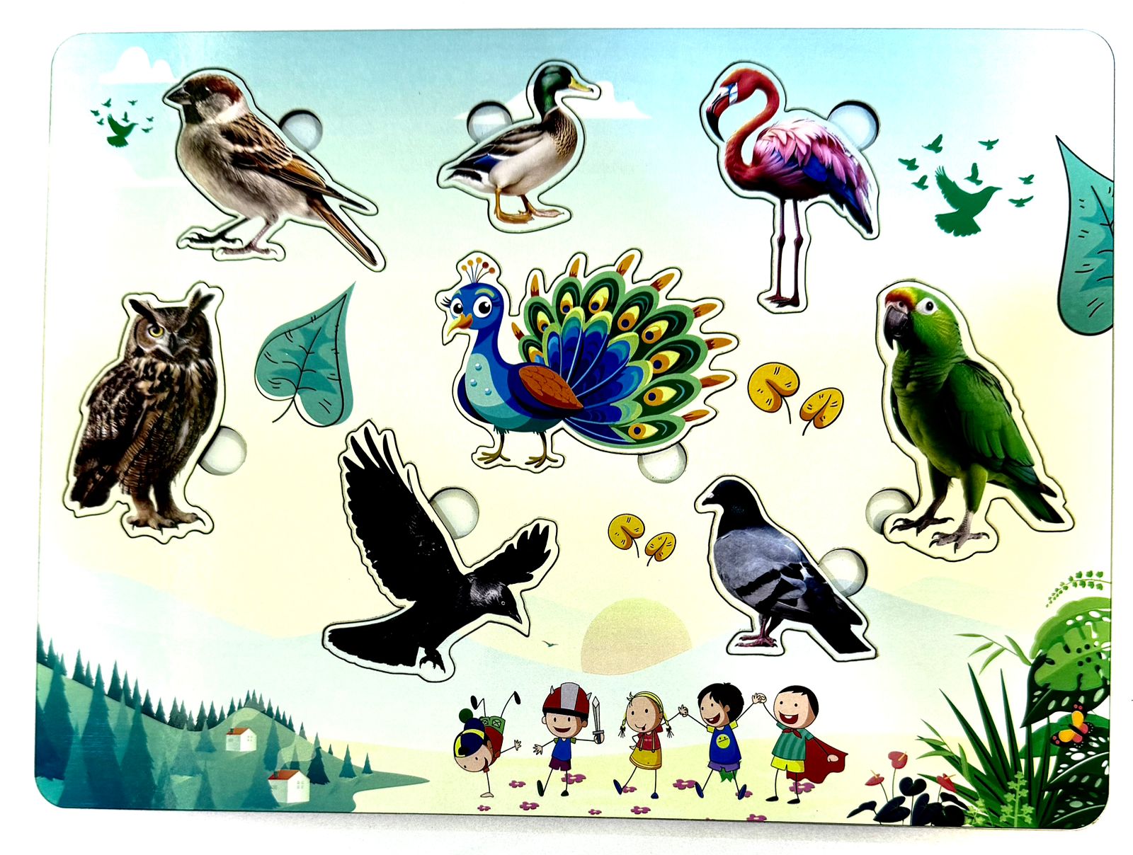 Wooden Birds Peg Puzzle Board for Kids