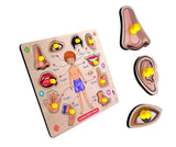 Wooden Human Body Parts Educational Jigsaw Puzzle with Knobs for Kids