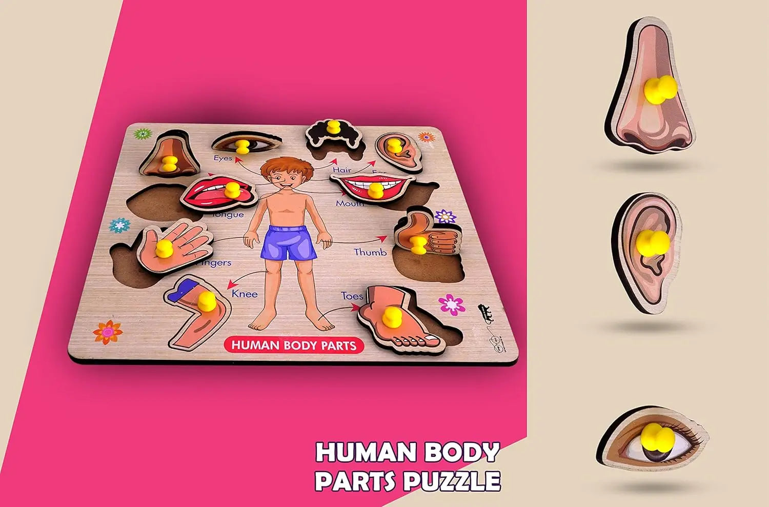 Wooden Human Body Parts Educational Jigsaw Puzzle with Knobs for Kids