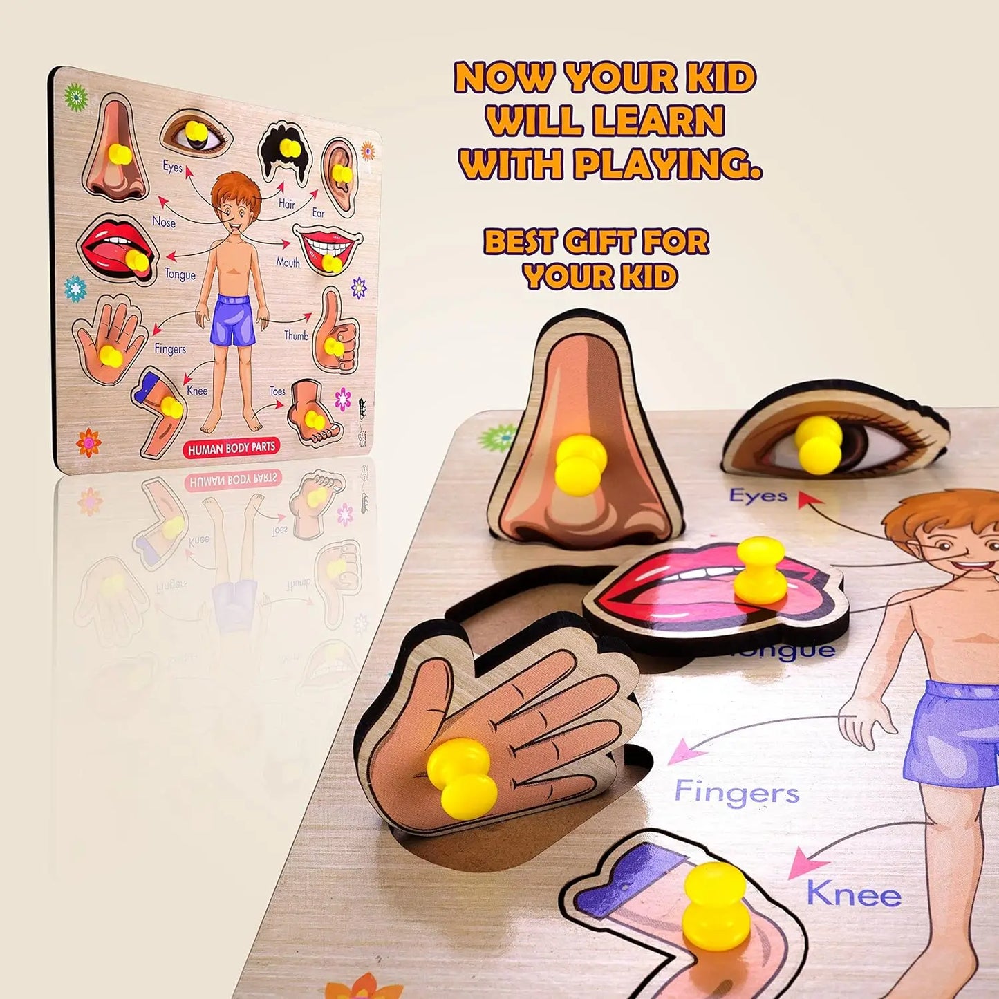 Wooden Human Body Parts Educational Jigsaw Puzzle with Knobs for Kids